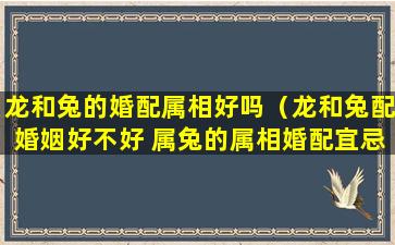 龙和兔的婚配属相好吗（龙和兔配婚姻好不好 属兔的属相婚配宜忌）